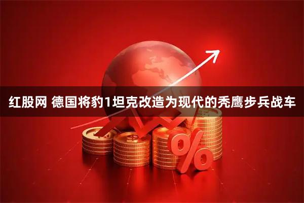 红股网 德国将豹1坦克改造为现代的秃鹰步兵战车