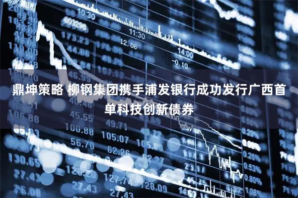 鼎坤策略 柳钢集团携手浦发银行成功发行广西首单科技创新债券