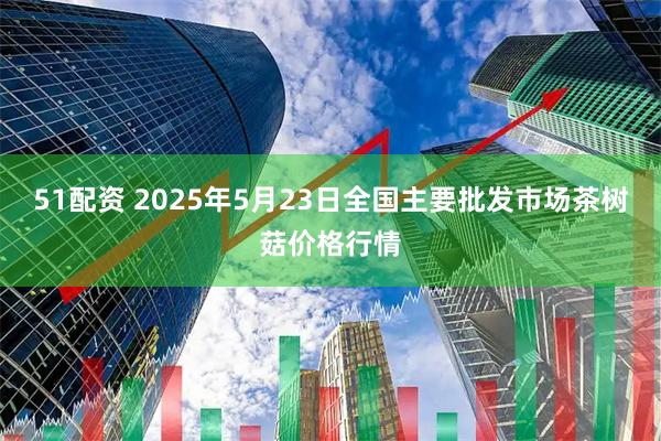 51配资 2025年5月23日全国主要批发市场茶树菇价格行情