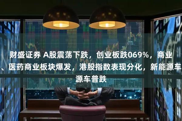 财盛证券 A股震荡下跌，创业板跌069%，商业航天、医药商业板块爆发，港股指数表现分化，新能源车普跌