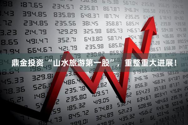 鼎金投资 “山水旅游第一股”，重整重大进展！