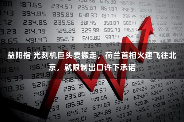 益阳指 光刻机巨头要搬走，荷兰首相火速飞往北京，就限制出口许下承诺